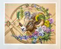 Image 1 of Willpower ~ limited edition print