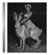 Night Rider Big Poster