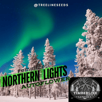 Image 2 of Timberline Select ~ Northern Lights Auto 