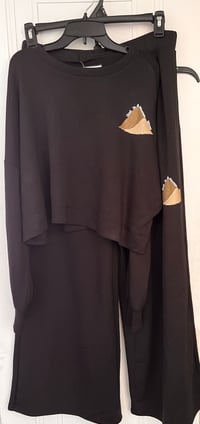 Flair Crop Top and Bottom 