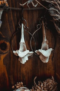 Image 3 of Large deer bone ear hangers