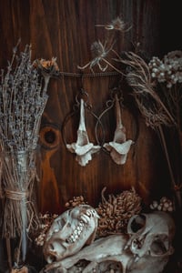 Image 2 of Large deer bone ear hangers