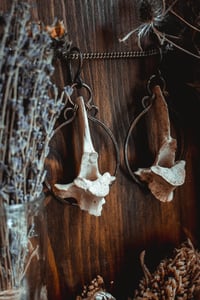 Image 6 of Large deer bone ear hangers