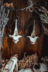Image 7 of Large deer bone ear hangers