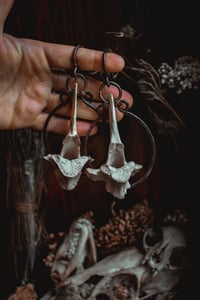 Image 1 of Large deer bone ear hangers
