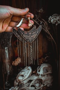 Image 2 of moth and moon bone earrings