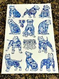 Pinta Pitties Flash Poster