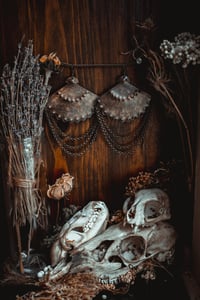 Image 2 of Brass fan earrings