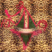 Image 1 of * ੈ♡‧ ₊ small classic g bottoms & micro cup