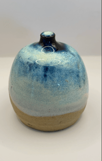 Image 5 of Salt Pig | Lagoon Tide