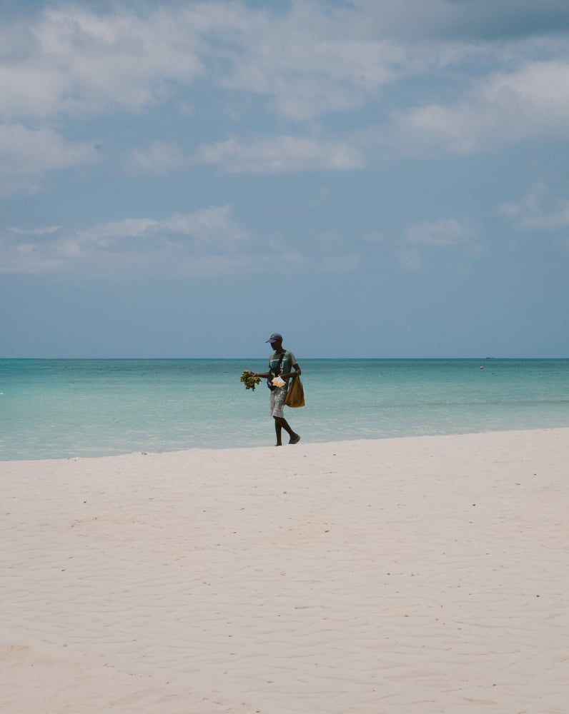 Image of Island Wanderer