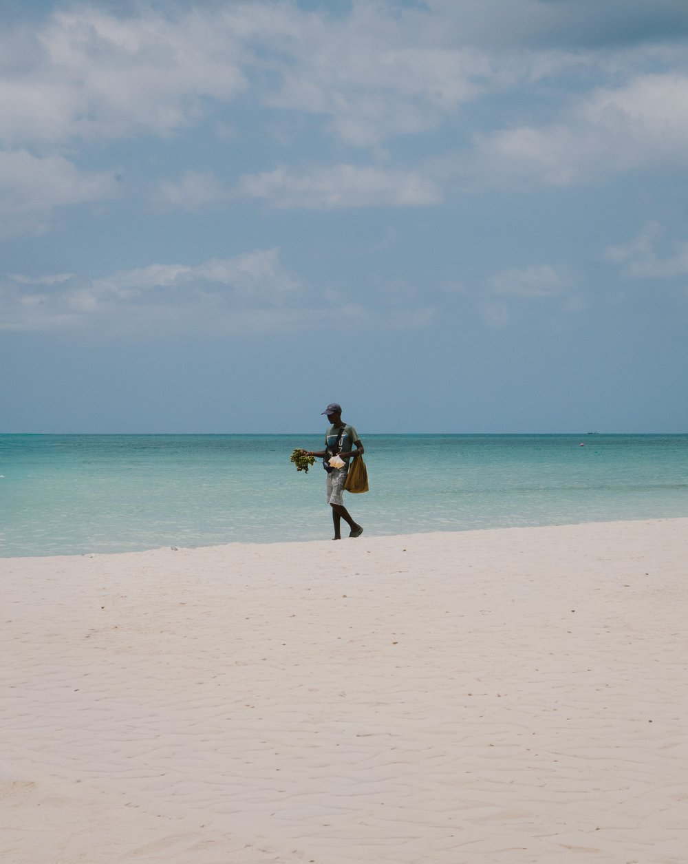 Image of Island Wanderer