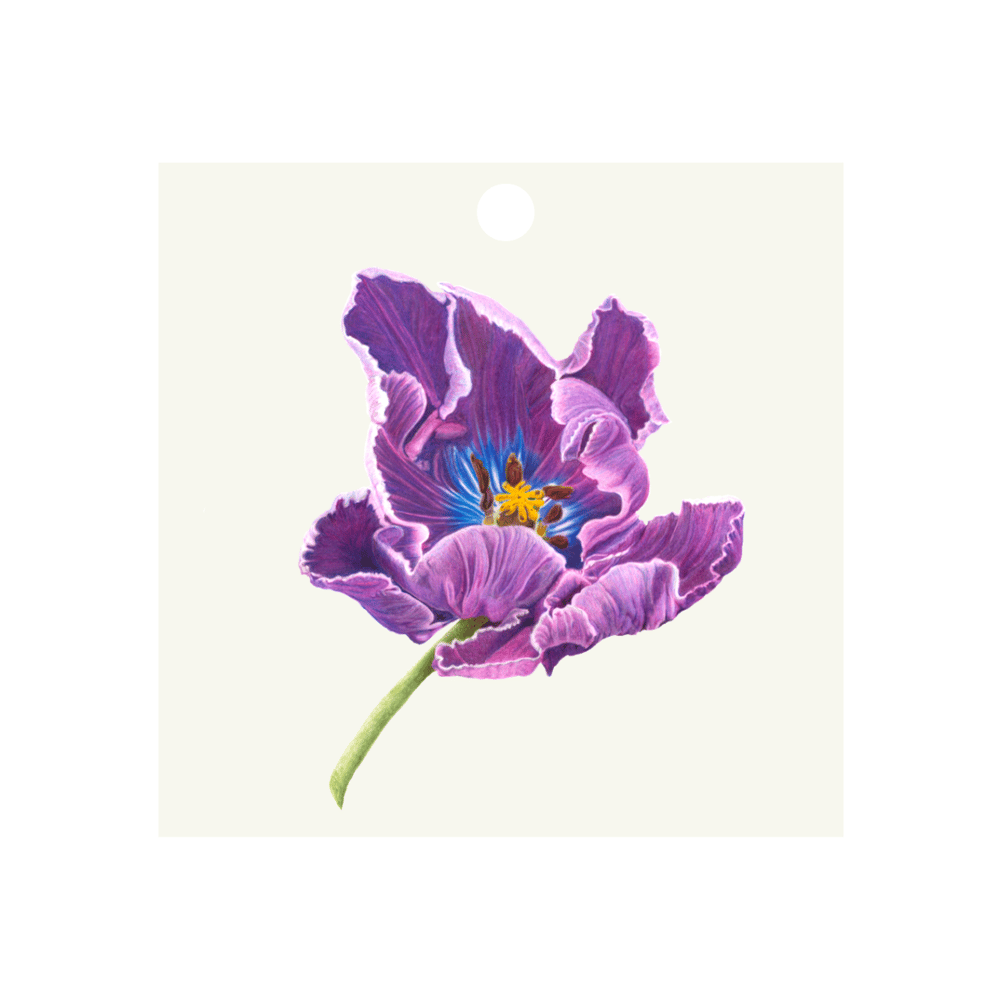 Image of Botanical Gift Tags