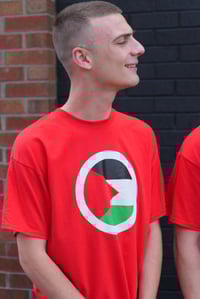 Image 2 of An Dream Dearg: An Phalaistín