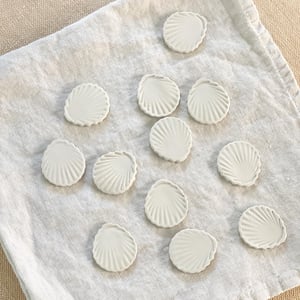 Image of LES AIMANTS coeurs, coquillages