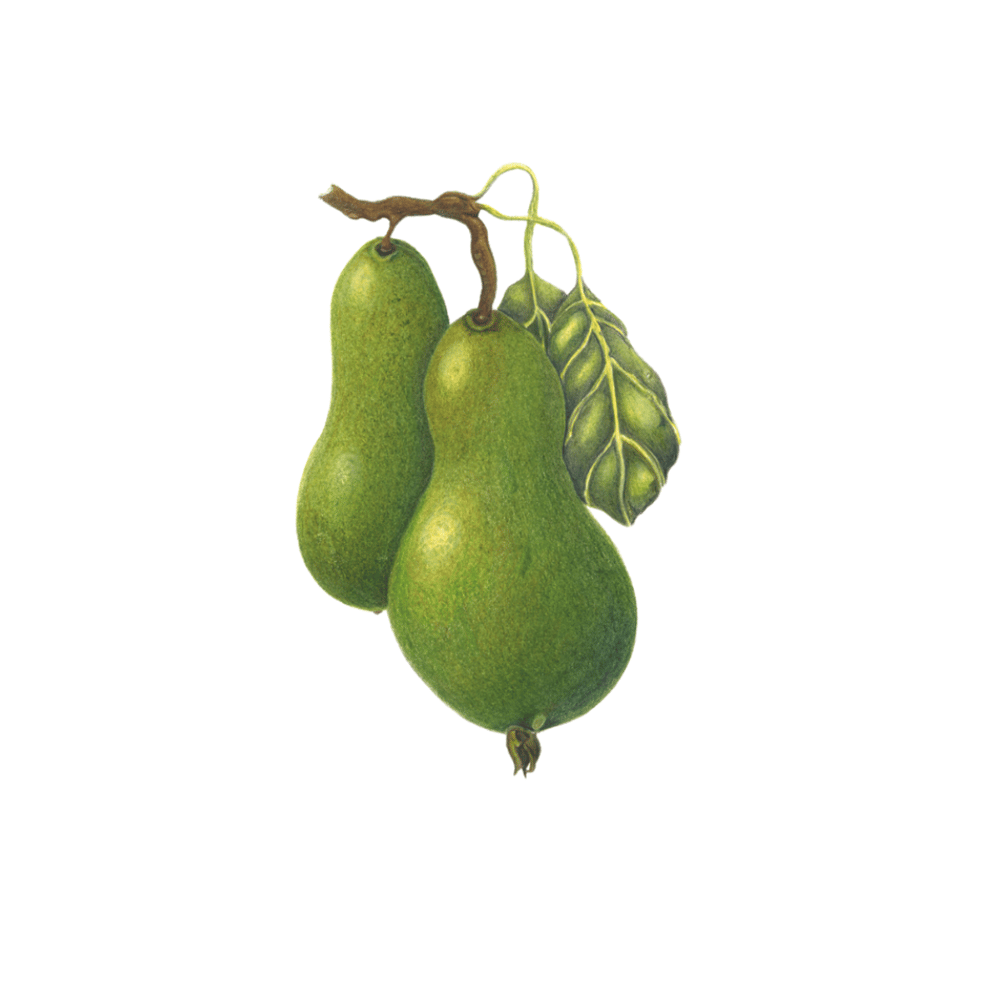 Image of Kitchen Art Prints