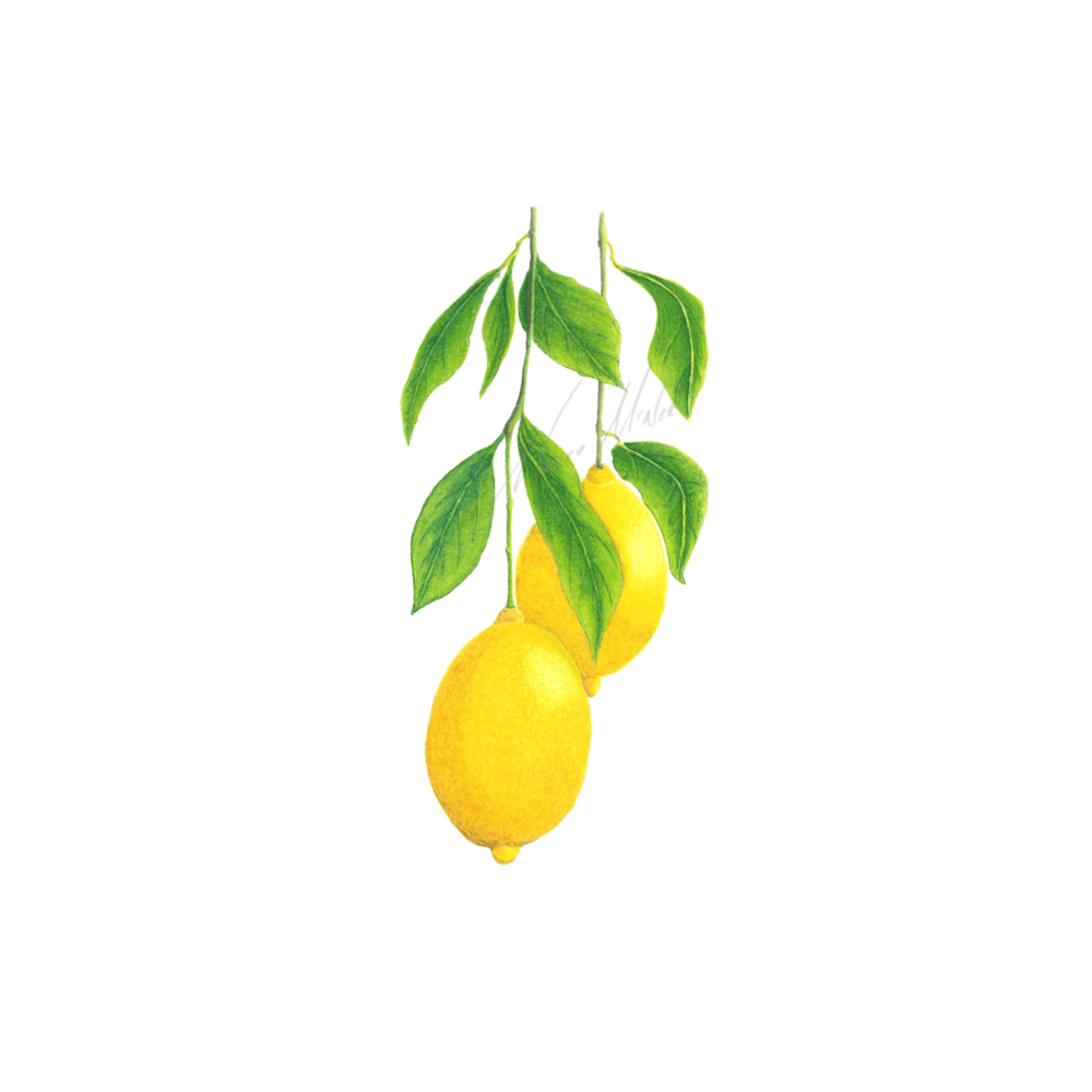 Image of Kitchen Art Prints