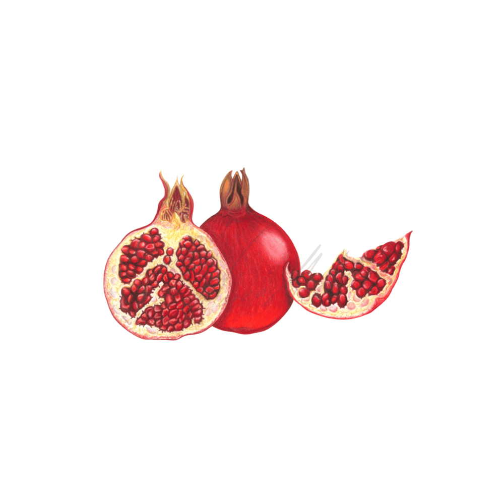 Image of Kitchen Art Prints