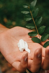 Image 2 of Océane Eye Cream