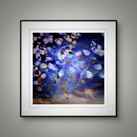 Image 3 of 'Swirling'