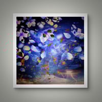 Image 2 of 'Swirling'