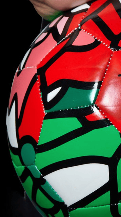 Image of Artful Basketball and Soccorballs