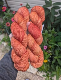 Tequila Sunrise DK