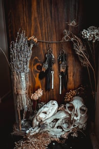 Image 1 of Midnight black feather and bone earrings