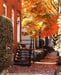 Image of Fall Mini Sessions - Georgetown, Washington DC - Sunday, October 26th 2025