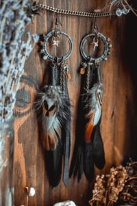 Image 7 of Snake vertebra earrings 