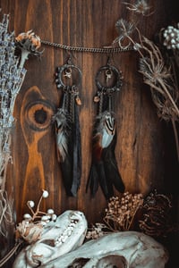 Image 8 of Snake vertebra earrings 