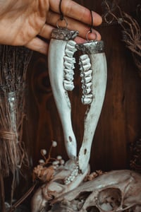 Image 1 of Jaw bone ear hangers 