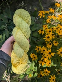 Dandelion Magic-Sparkle Sock