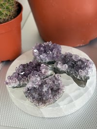 Image 2 of Mini A grade Amethyst Clusters