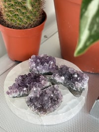 Image 3 of Mini A grade Amethyst Clusters