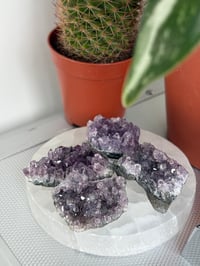 Image 1 of Mini A grade Amethyst Clusters