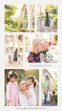 Image 2 of 2025 Fall Mini Sessions