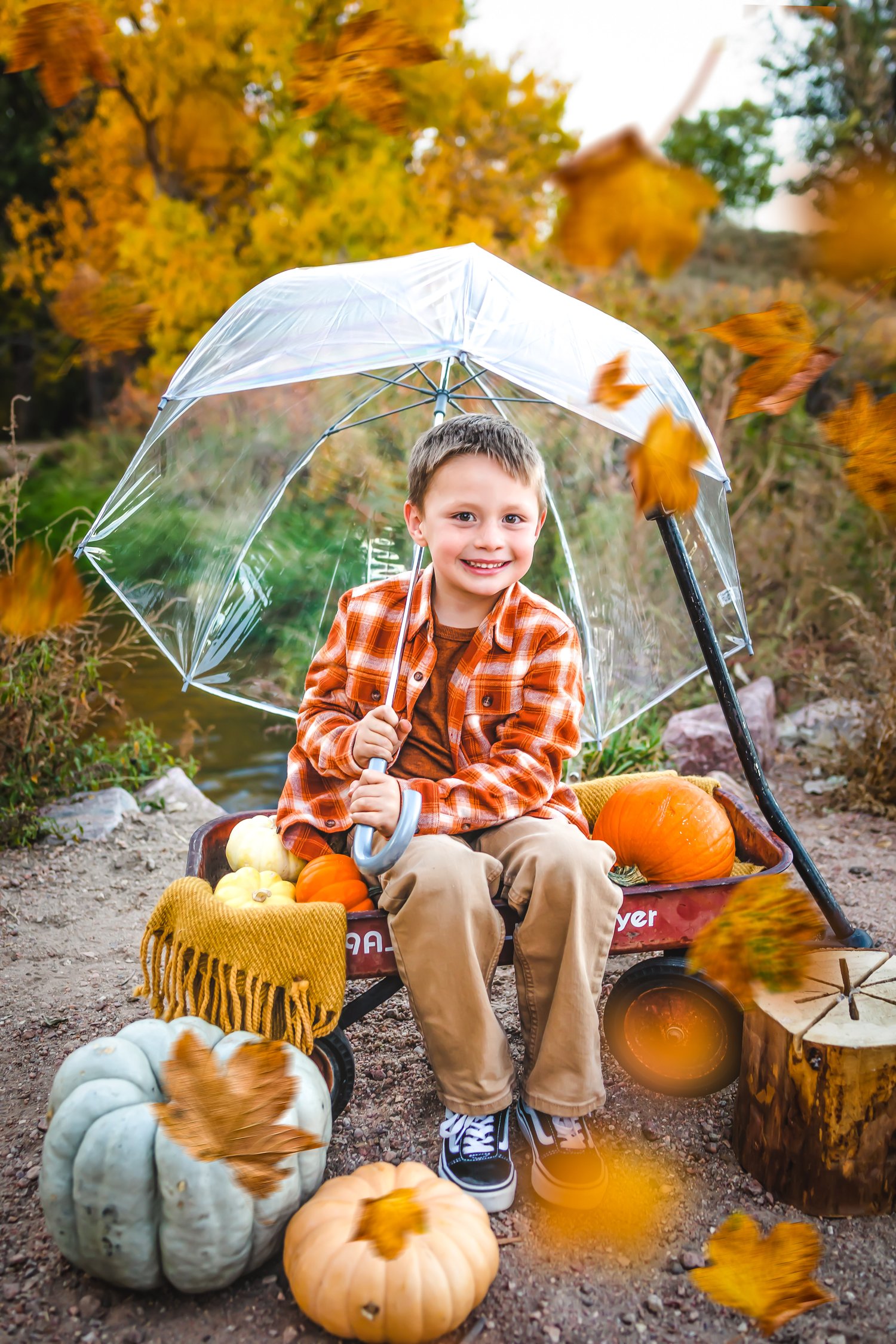 Image of Fall mini's 