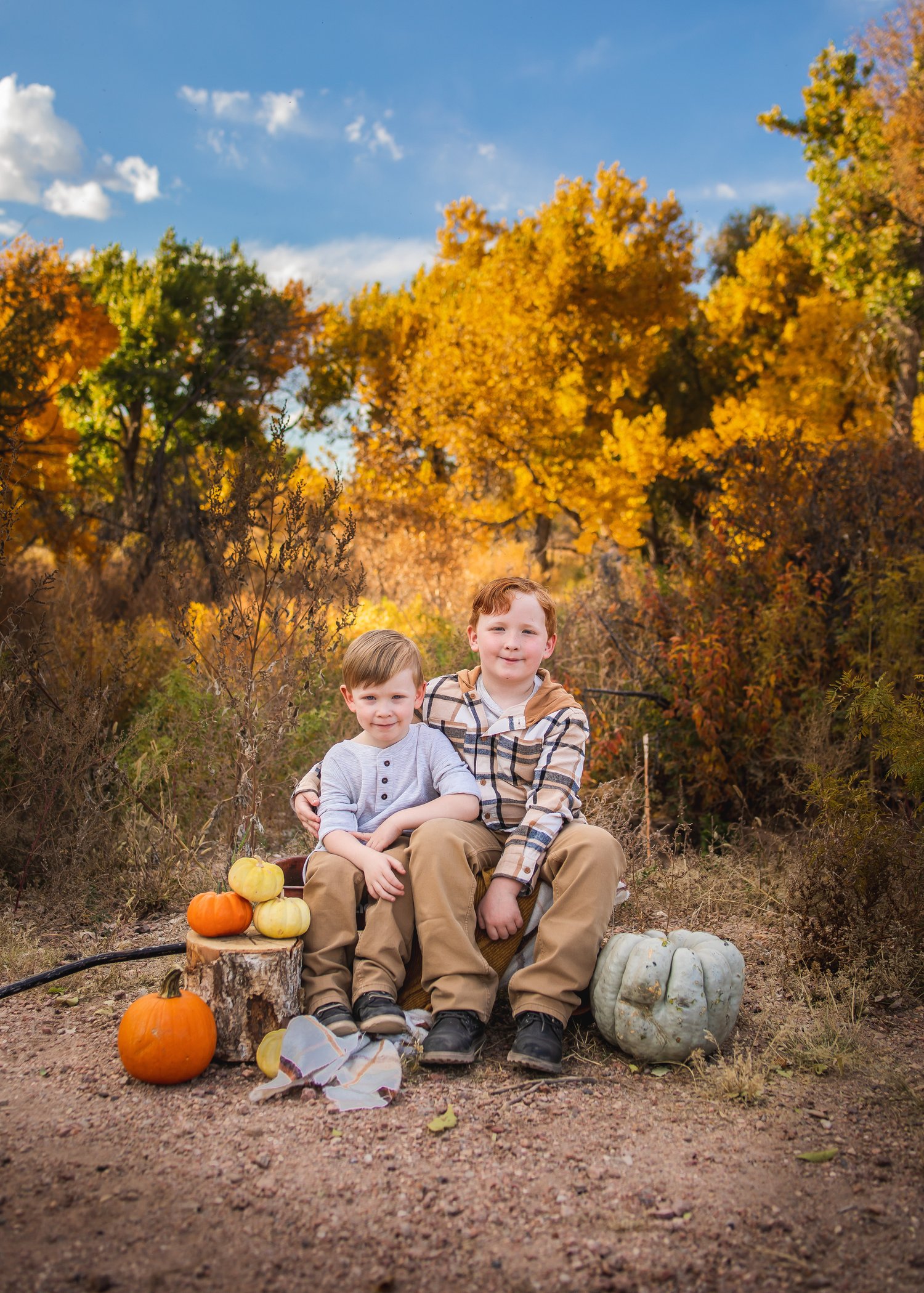 Image of Fall mini's 