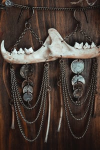Image 8 of Jaw bone moons