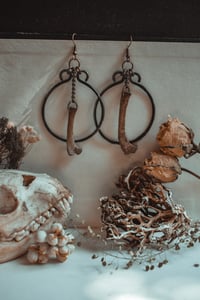 Image 2 of Bone hoops