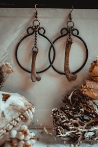 Image 1 of Bone hoops
