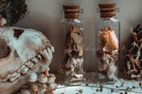 Image 3 of bone shard vial