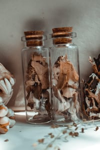 Image 5 of bone shard vial
