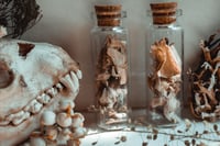 Image 4 of bone shard vial