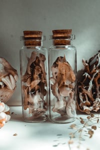 Image 1 of bone shard vial