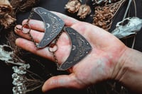 Image 2 of Harvest and moth 