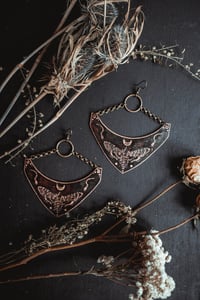 Image 1 of Harvest and moth 