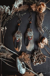 Image 1 of Feather earrings 