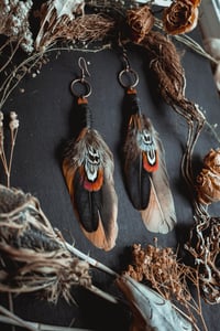 Image 2 of Feather earrings 